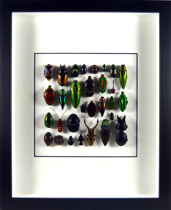 Mosaïque de 30 insectes colorés / Cadre noir pièce unique