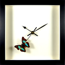 Charger l&#39;image dans la galerie, Horloge noire papillon Doxocopa cherubina