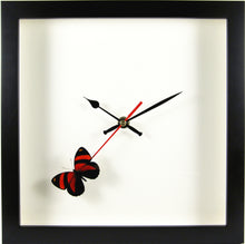 Charger l&#39;image dans la galerie, Horloge noire papillon Callicore cynosura
